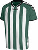 Stay Authentic Stripe JERSEY H03-545