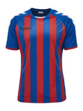 Core STRIPED SS Jersey  H03-755